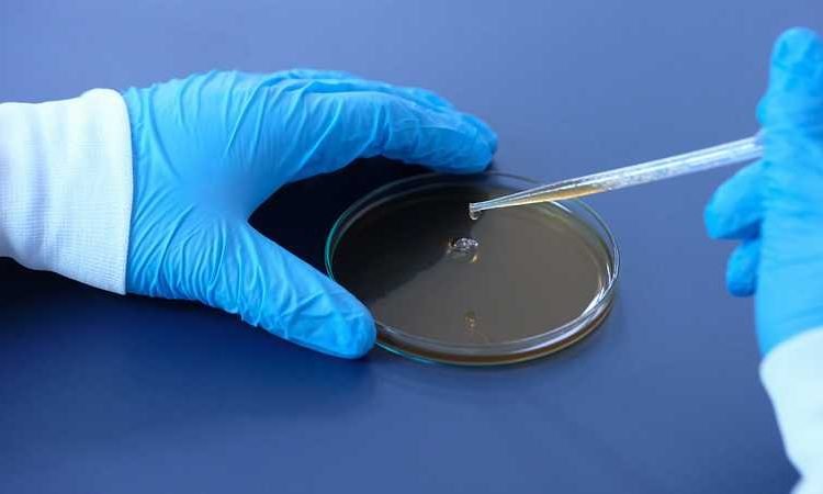 DCGI issues guidelines for manufacturing coronavirus vaccination