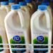 Raw or pasteurized milk – Which one is the right choice for you?