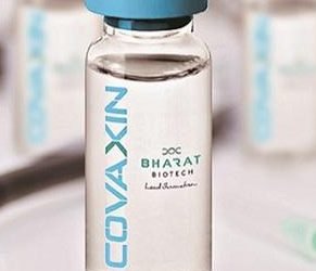 Bharat Biotech’s Phase 1 data shows Covaxin is ‘successful’