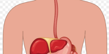 30% severely infected patients after recovery have post-Covid digestive issues