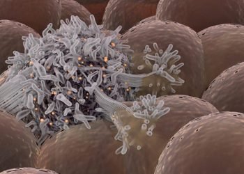 When does a cancer first arise?