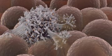 When does a cancer first arise?