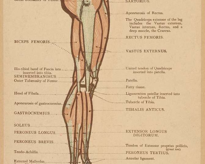 Limb saving surgery performed successfully on a 21 year-old girl
