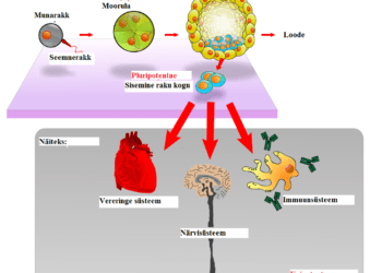 First CAR-T cell therapy conducted at ACTREC, Tata Hospital in Mumbai