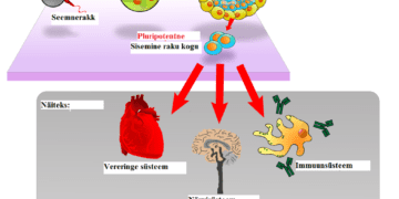 First CAR-T cell therapy conducted at ACTREC, Tata Hospital in Mumbai