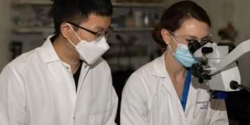 ‘Good cholesterol’ may protect liver