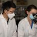 ‘Good cholesterol’ may protect liver