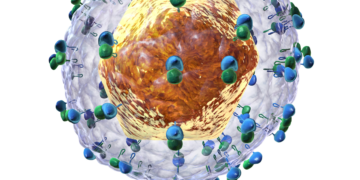 Regular screening for Hepatitis every six months can prevent serious liver ailments