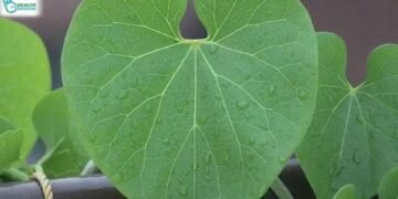 Top Health News of the Day: July 7, 2021