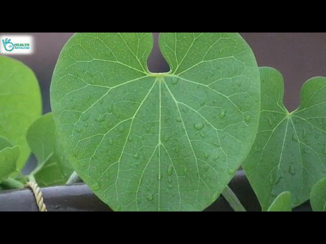 Top Health News of the Day: July 7, 2021