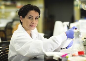 Scientists discover 14 genes that cause obesity