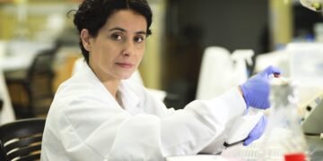 Scientists discover 14 genes that cause obesity