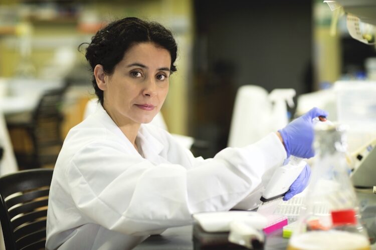 Scientists discover 14 genes that cause obesity