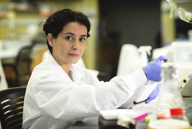 Scientists discover 14 genes that cause obesity