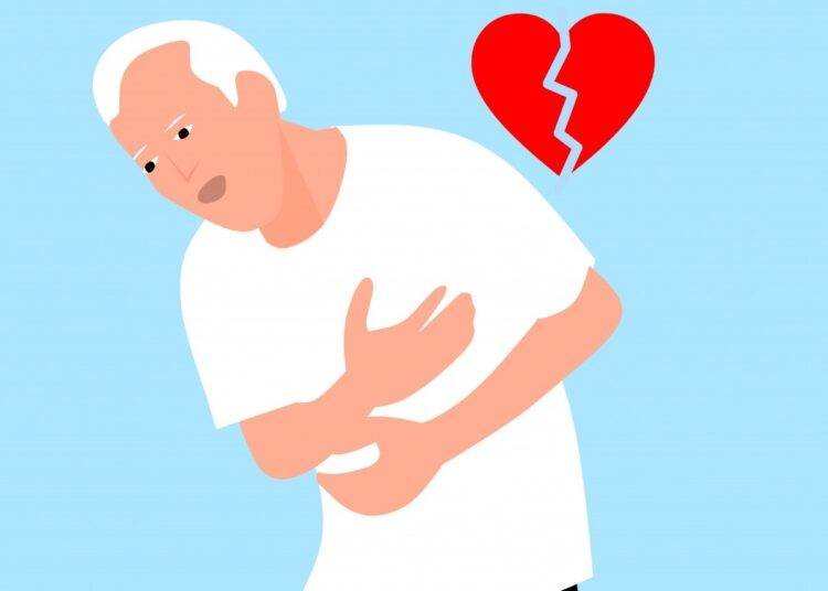 Trial testing cocoa flavanol supplement shows promise for reducing cardiovascular risk