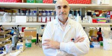 New study reveals why HIV remains in human tissue even after antiretroviral therapy