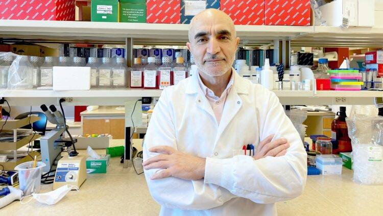 New study reveals why HIV remains in human tissue even after antiretroviral therapy