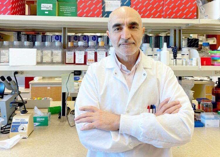 New study reveals why HIV remains in human tissue even after antiretroviral therapy