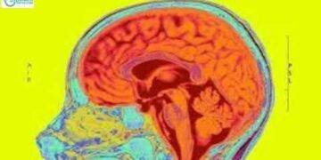 Top 10 Health News of the Day: March 8, 2022