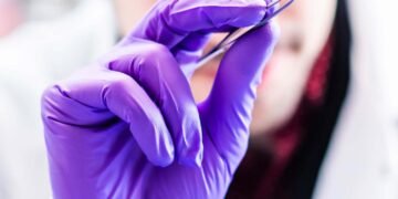 New miniature heart could help speed heart disease cures