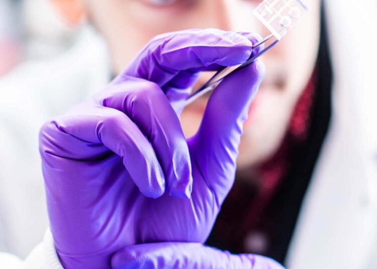 New miniature heart could help speed heart disease cures