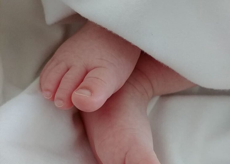 New research shows survival rate improvement for extremely pre-term infants