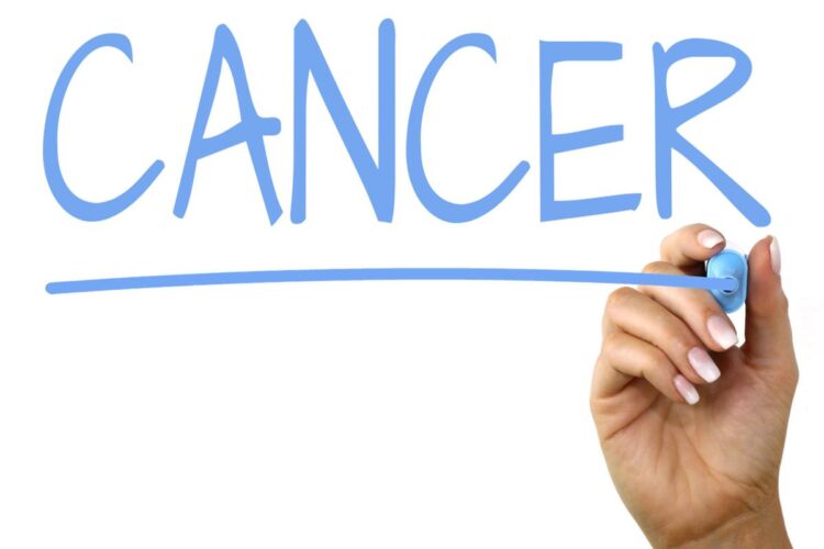 Solid tumors use a type of T cell as a shield against immune attack