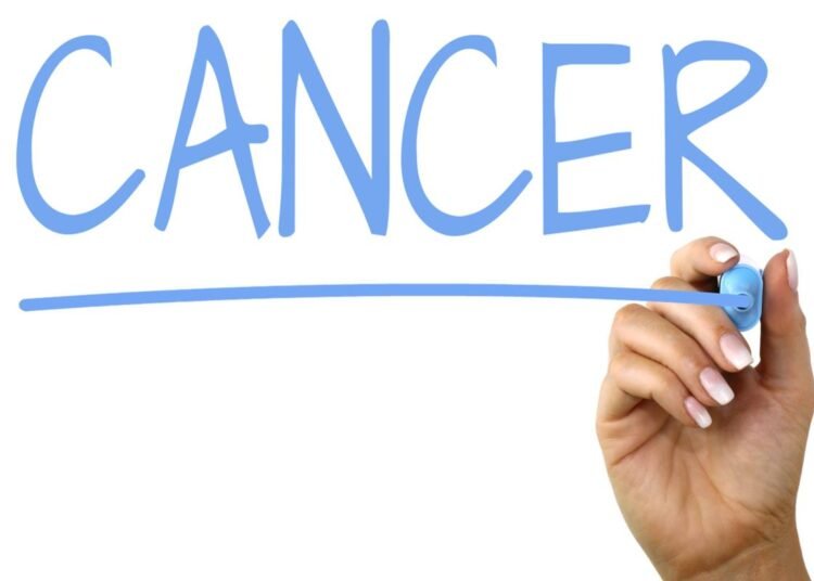 Solid tumors use a type of T cell as a shield against immune attack