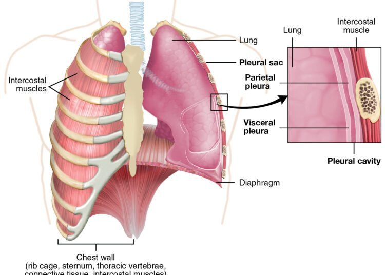 Bilateral sequential lung transplantation successfully performed at HN Reliance Hospital