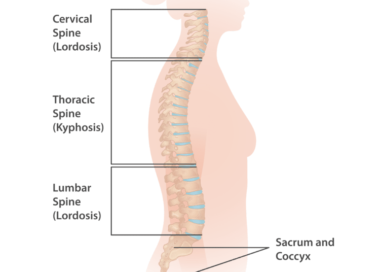 10 Daily lifestyle hacks to avoid back pain