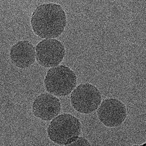 Novel nanoparticles deliver innovative cancer chemoimmun