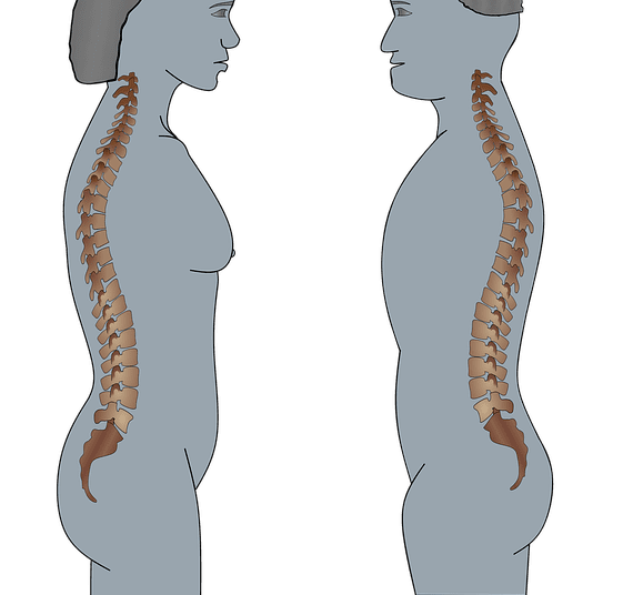 7 foods to eat for a good spinal health