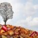 Ultra-Processed Foods Drive India’s Health Crisis