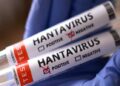 Thailand declares Hantavirus a dangerous disease