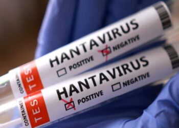 Thailand declares Hantavirus a dangerous disease