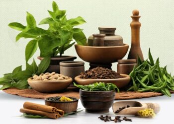 Ayurveda Industry Sees Rapid Global Growth