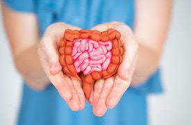Why good digestive health is vital for overall wellness