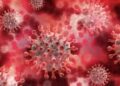 India Says Hantavirus Poses No Immediate Threat