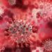 India Says Hantavirus Poses No Immediate Threat
