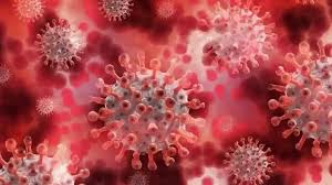 India Says Hantavirus Poses No Immediate Threat