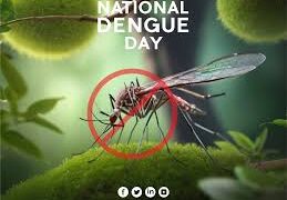 National Dengue Day focuses on community action