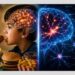 Study warns childhood junk food may affect brain for life