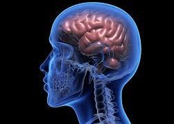 WHA declares stroke a global health priority