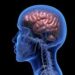 WHA declares stroke a global health priority