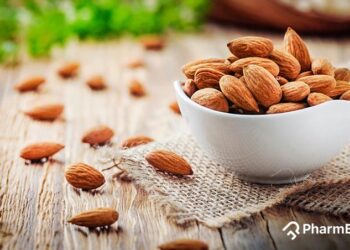 Daily Almond Intake May Improve Memory and Blood Sugar