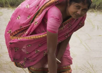 Bengal Excels in Health, Agriculture, Lags in Infrastructure