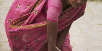 Bengal Excels in Health, Agriculture, Lags in Infrastructure