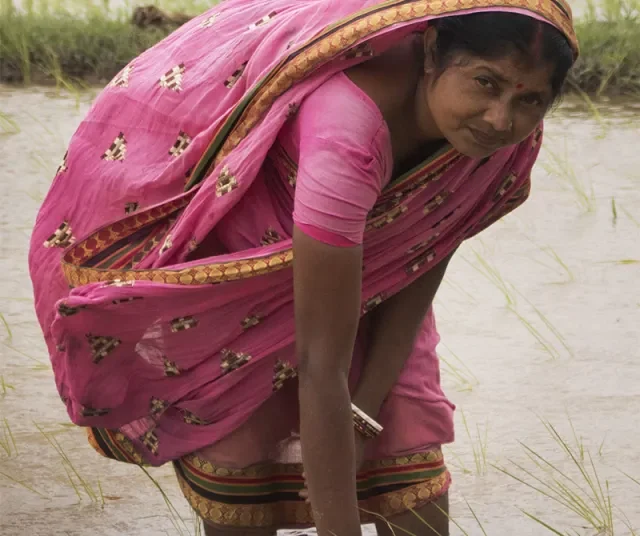 Bengal Excels in Health, Agriculture, Lags in Infrastructure
