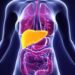 Protein Craze Raises Concerns Over Liver Health: Experts Warn