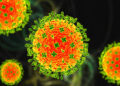 Kerala on High Alert After Suspected Nipah Case in Kozhikode